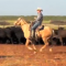 VIDEO: Spade Ranch Cowboys at Work